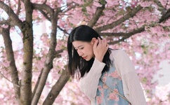 网游之风流骑士续集